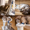 15 Pcs Cat Toys Set with Big Cat Wand Toy