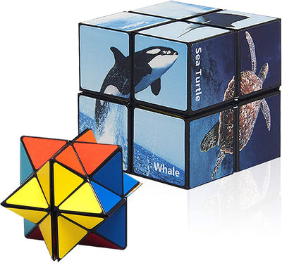 Magic Cube 2 in 1 Set, Magic 3D Puzzle Cubes for Kids and Adults