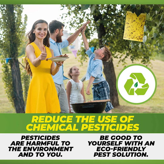 Fruit Fly Trap (20 Pack), Double-Sided Yellow Sticky Traps (Indoor & Outdoor), Fruit Fly Traps for Kitchen & Plants, Fruit Fly Killer - Sticky Gnat Trap Indoor Solution, Fungus Gnat Traps