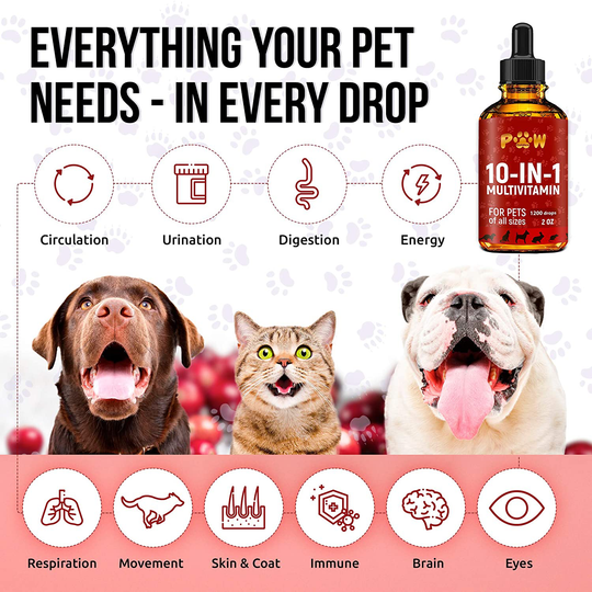 10 In 1 Cat & Dog Multivitamin - Hip & Joint Vitamins For Dogs + Vitamins C, D, B1-12 - Cranberry Supplement For Dogs & Cat Vitamins - Bladder, Kidney, Skin, Joint Support - Glucosamine Dog Supplement