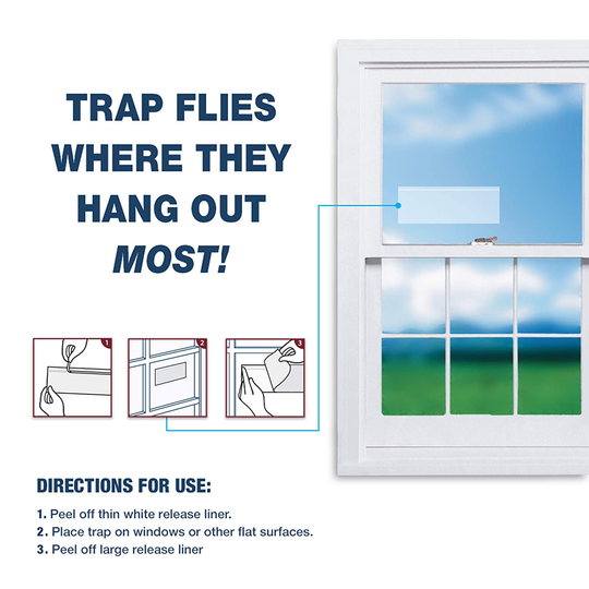 Catchmaster Bug & Fly Clear Window Fly Traps - Pack of 12 Traps