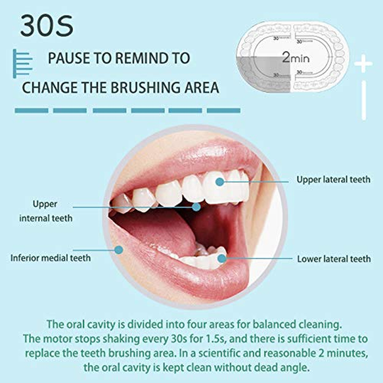 Rechargeable Sonic Electric Toothbrush - 6 Optional Modes IPX7 USB Fast Charging with 2 min Build in Timer & 4 Replacement Brush Heads