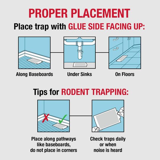 30 Catchmaster Mouse / Spider / Insect / Scorpion Glue Board Sticky Traps ~ Peanut Butter Scent