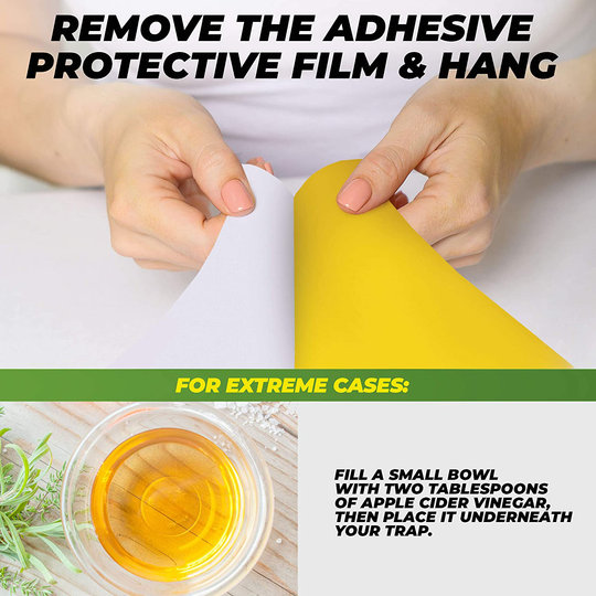 Fruit Fly Trap (20 Pack), Double-Sided Yellow Sticky Traps (Indoor & Outdoor), Fruit Fly Traps for Kitchen & Plants, Fruit Fly Killer - Sticky Gnat Trap Indoor Solution, Fungus Gnat Traps