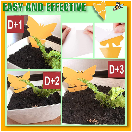 48 Pcs Sticky Fly Traps, Yellow Fruit Fungus Gnat Trap Killer for Indoor and Outdoor, Protect The Plant