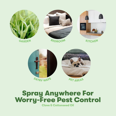 BugMD Pest Control Essential Oil Concentrate 3.7 oz - Just Add Water! Controls Flies, Ants, Fleas, Ticks, Roaches