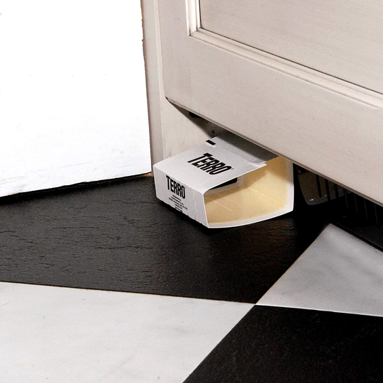 TERRO T3206SR Spider & Insect Traps – 12 Traps