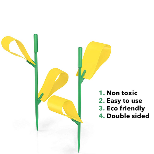 44 Piece Houseplant Sticky Stake Traps for Gnats Indoor and Outdoor