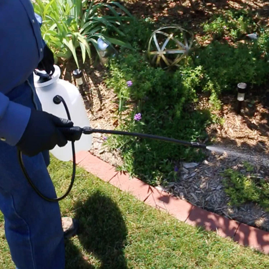 1 Gallon Portable Lawn And Garden Sprayer