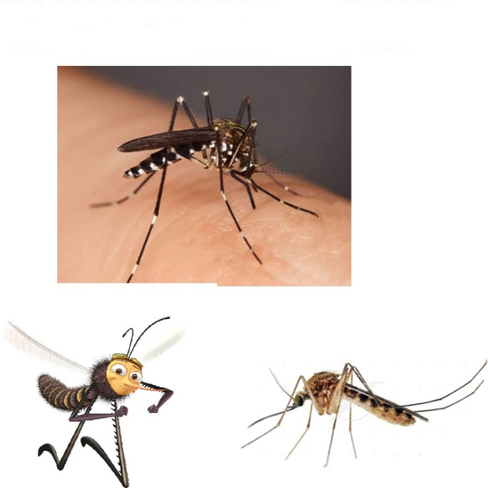 2 Pack Emergency Suction Tool For Mosquito Bite And Bee Sting