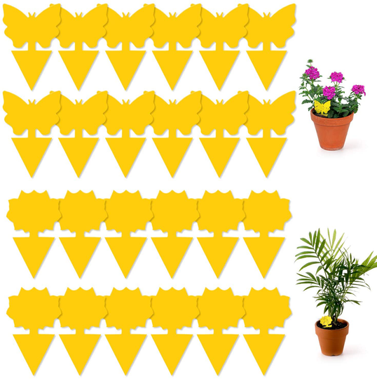 Fruit Fly Traps Indoor Sticky Glue Gnat Trap 24pcs Fungus Gnat Killer for Kitchen House Outdoor Plant Fly Paper Flying Insect Catcher