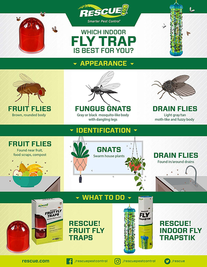 RESCUE! Fruit Fly Trap Attractant Refill – 30 Day Supply – 10 Pack