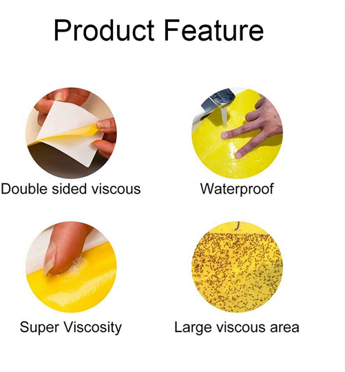 20 Pack Dual-Sided Yellow Sticky Traps for Flying Plant Insect Like Fungus Gnats, Aphids, Whiteflies, Leafminers
