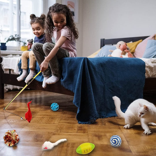 32 Pack - Cat Toys Variety Pack