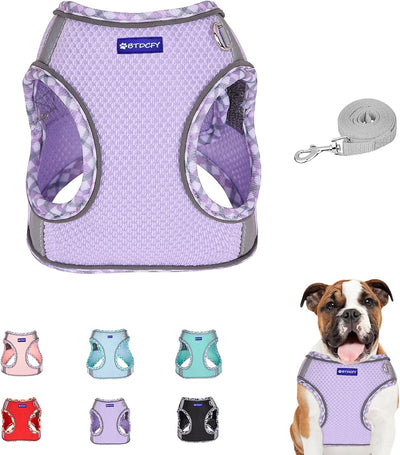 Step in Mesh Dog Harness Vest and Leash Set - Breathable Air Mesh - Reflective - No Choke