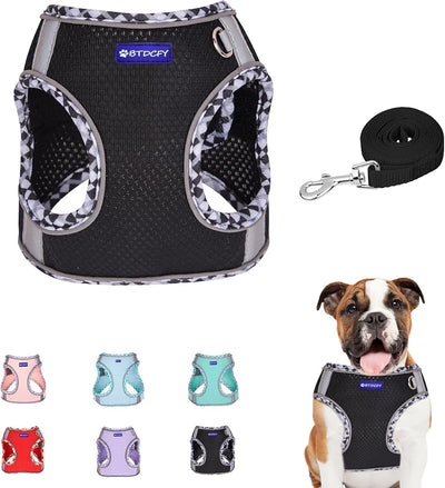 Step in Mesh Dog Harness Vest and Leash Set - Breathable Air Mesh - Reflective - No Choke