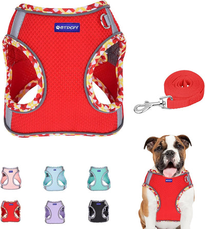 Step in Mesh Dog Harness Vest and Leash Set - Breathable Air Mesh - Reflective - No Choke