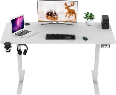 Modern Design 55 Inch Electric Standing Desk with Adjustable Height Sit & Stand