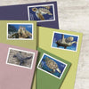 Protect Sea Turtles 2024 First-Class Mail Forever Postage Stamps - 1 Sheet of 18