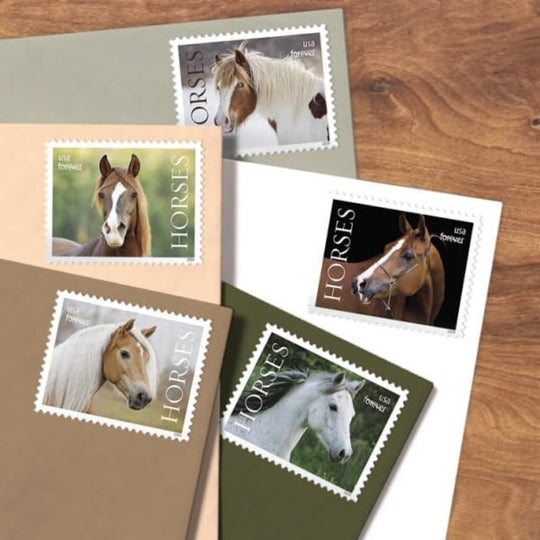Horses 2024 USPS First-Class Mail Forever Postage Stamps - Sheet of 20