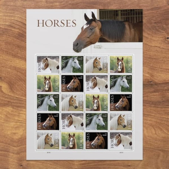 Horses 2024 USPS First-Class Mail Forever Postage Stamps - Sheet of 20
