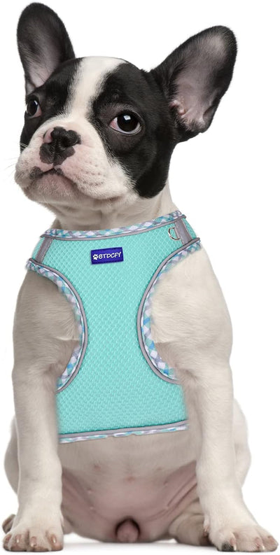 Step in Mesh Dog Harness Vest and Leash Set - Breathable Air Mesh - Reflective - No Choke