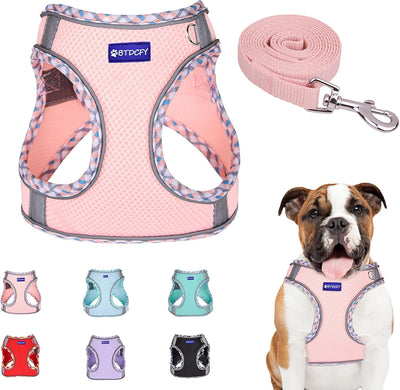 Step in Mesh Dog Harness Vest and Leash Set - Breathable Air Mesh - Reflective - No Choke