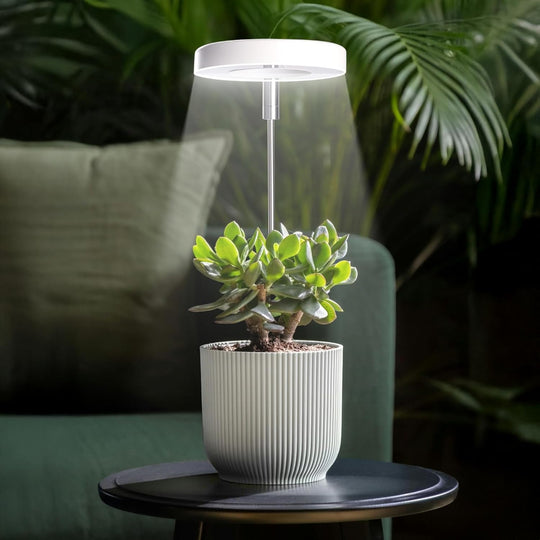 Indoor Plant Grow Light – Full Spectrum LED with Timer Dimming Adjustable Heigh