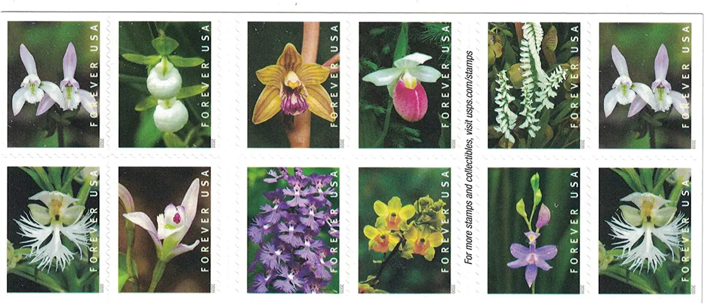 USPS Wild Orchids 2020 Forever Stamps - Booklet of 20 Postage Stamps