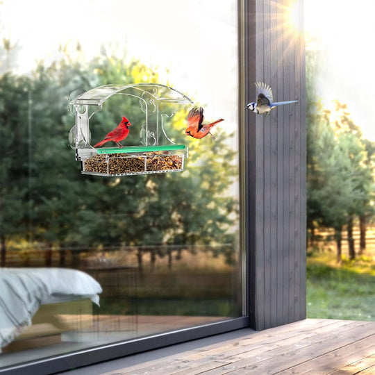 Clear Acrylic Window Bird Feeder – Suction Cup Mount, Detachable Seed Tray, Outdoor Viewing