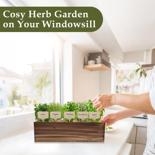 5-Pack Herb Garden Planter Kit – Indoor Kitchen Growing Use – Wooden Box with Basil, Thyme, Parsley, Rosemary & Mint Seeds – Home Gardening Gift Set