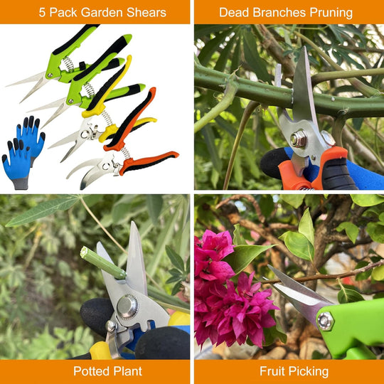 5-Pack Garden Pruning Shears – Stainless Steel Handheld Clippers with Gardening Gloves, Snips & Pruners for Gardening