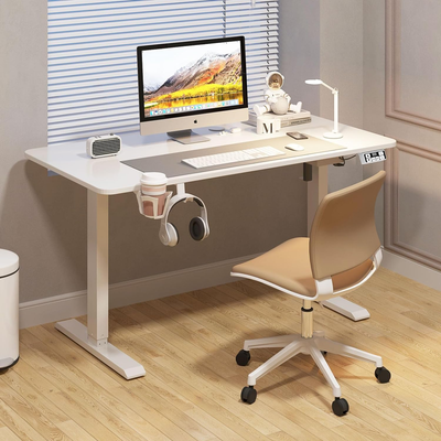 Modern Design 55 Inch Electric Standing Desk with Adjustable Height Sit & Stand