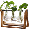 3 Bulb Vase Plant Terrarium with Wooden Stand, Air Planter for Hydroponics