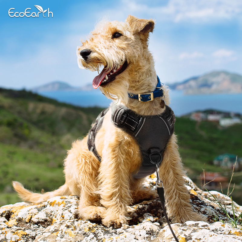 Dog Harness for Daily Walks, Soft-Padded w/ Reflective Strips for Running, Hiking & Training