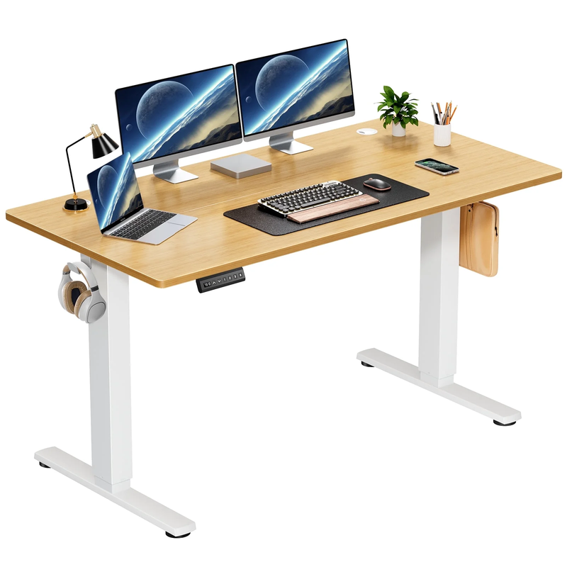 Electric Standing Desk, Height Adjustable Desk, Ergonomic Stand up Desk with Memory Preset