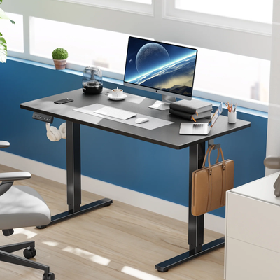 Electric Standing Desk, Height Adjustable Desk, Ergonomic Stand up Desk with Memory Preset