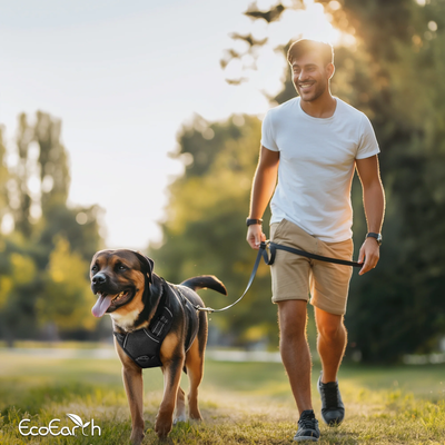 Dog Harness for Daily Walks, Soft-Padded w/ Reflective Strips for Running, Hiking & Training