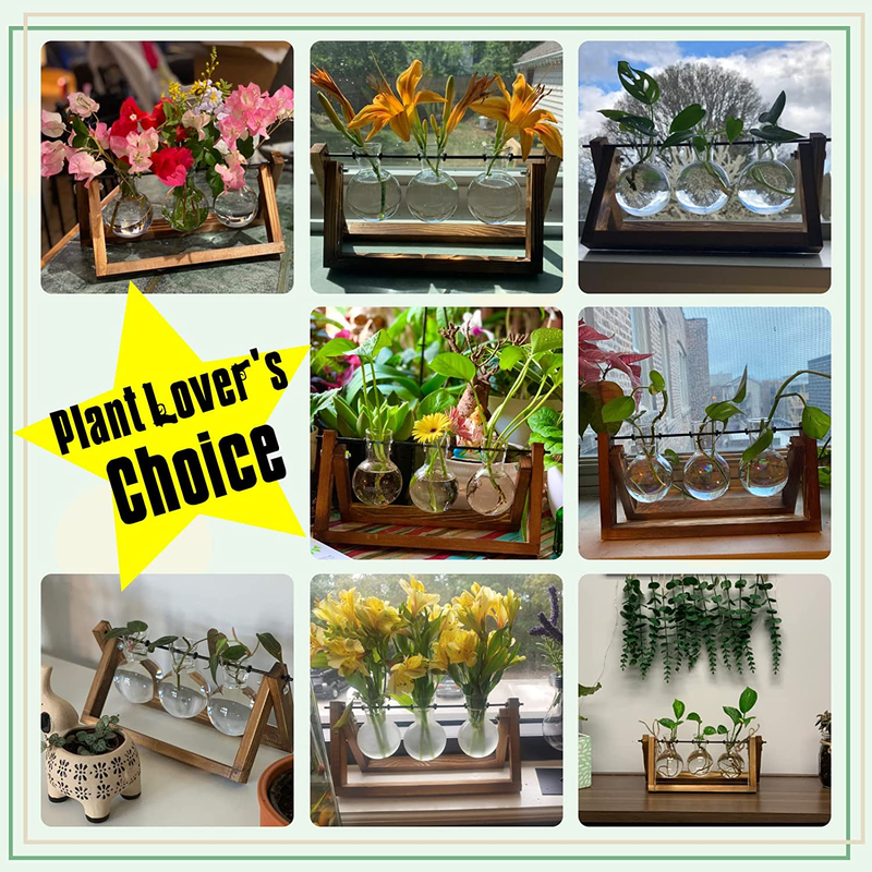 3 Bulb Vase Plant Terrarium with Wooden Stand, Air Planter for Hydroponics