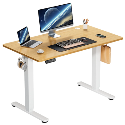 Electric Standing Desk, Height Adjustable Desk, Ergonomic Stand up Desk with Memory Preset