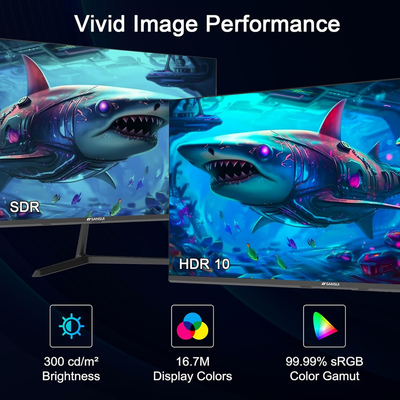 24 inch Monitor, IPS Display Computer Monitor with Built-in Speakers, 100Hz Monitor VESA Mount with HDMI Inputs, FHD Monitor