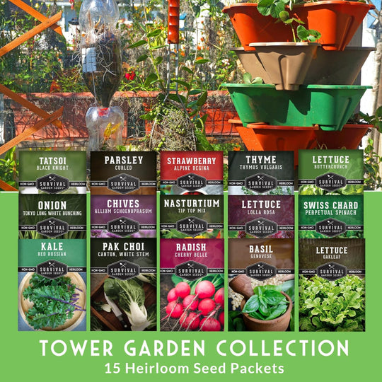 15 Pack Heirloom Vegetable & Herb Seed Variety Pack for   Patio Containers and Small Space Gardens