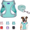 Step in Mesh Dog Harness Vest and Leash Set - Breathable Air Mesh - Reflective - No Choke