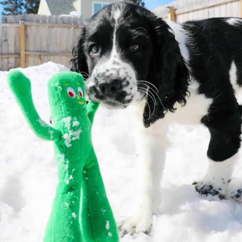 9" Gumby Plush Filled Dog Toy, Green