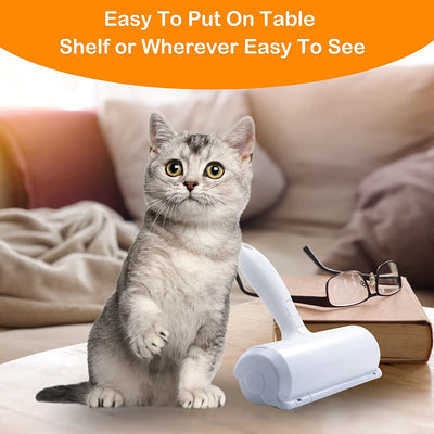 Pet Hair Remover for Furniture