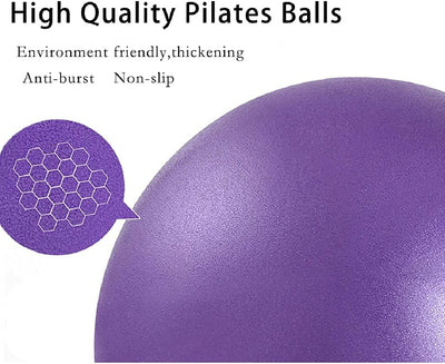 Pilates Exercise Ball Mini Yoga Barre  for Home with Pump