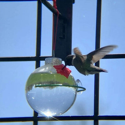 Hummingbird Feeder with Flower Ports