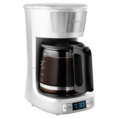 12 Cup Programmable Hot & Iced Coffee Maker with Keep Warm Feature