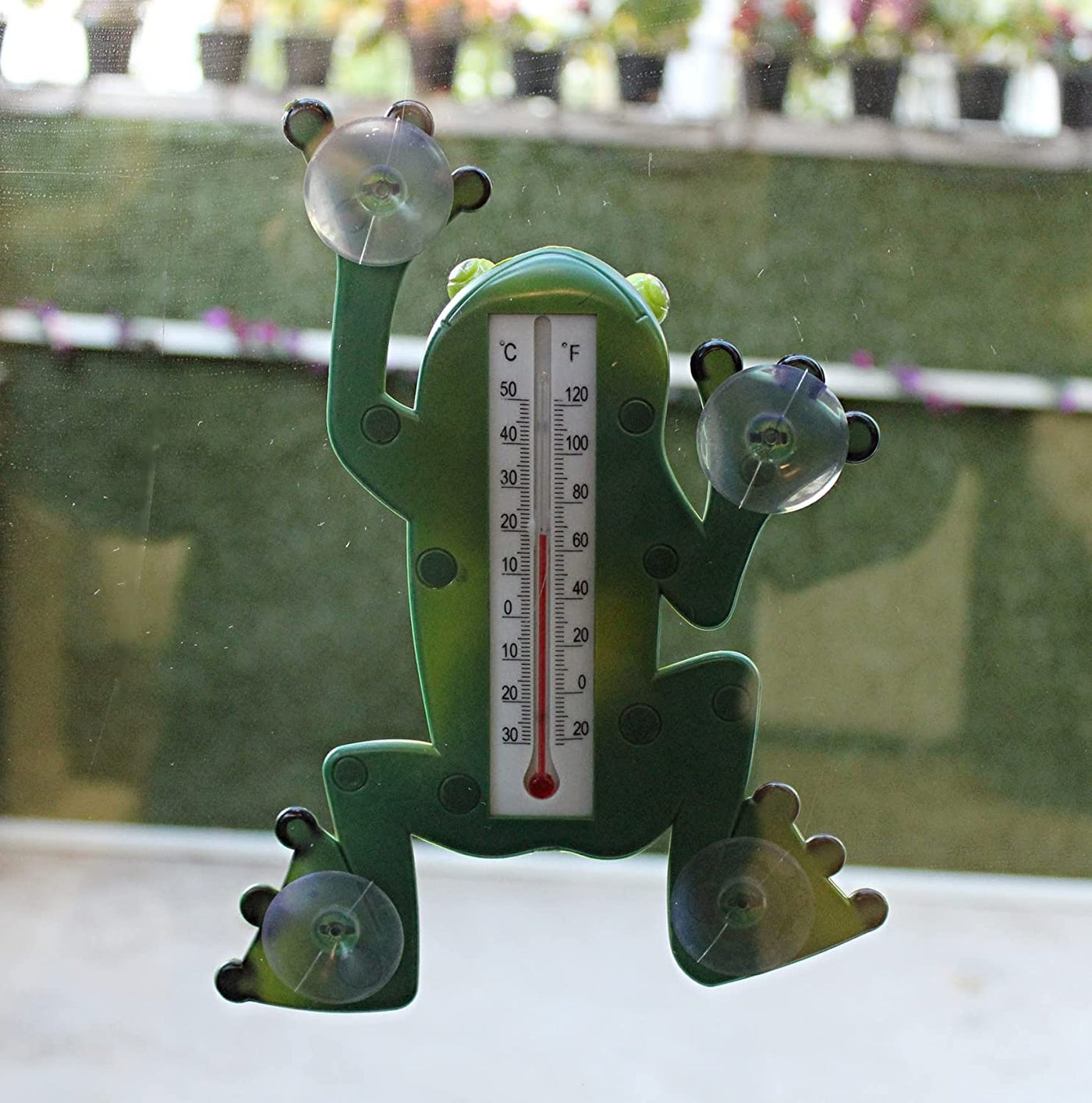 Dependable Frog Shape Thermometer with Suction Cups