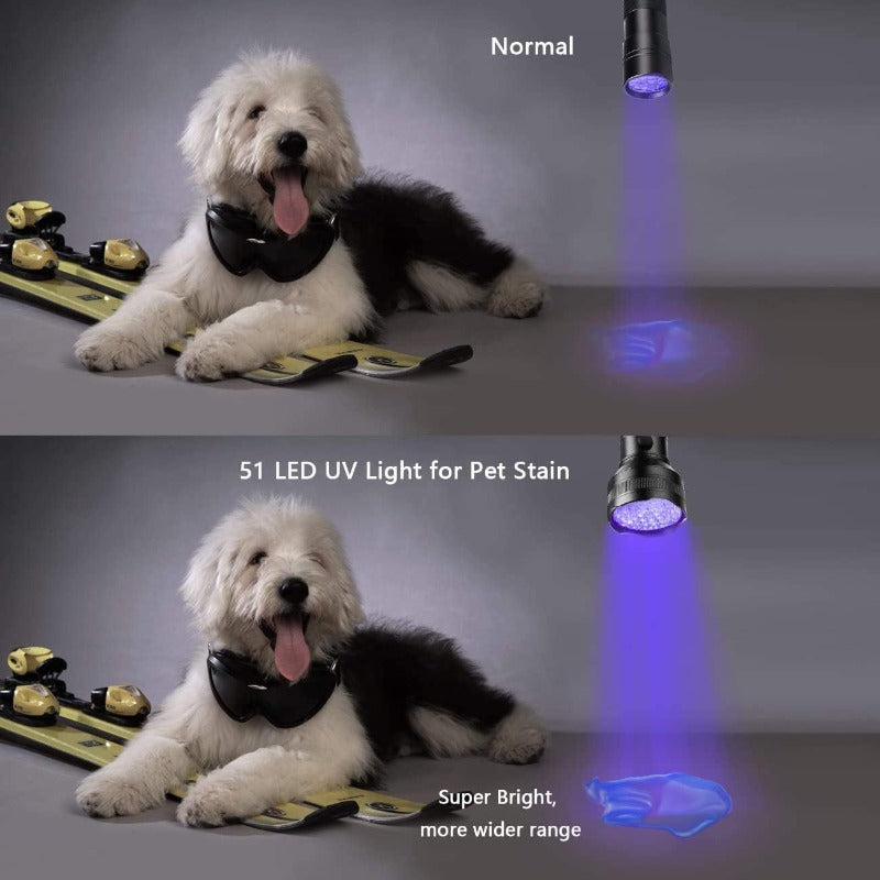 UV Black Light  LED Flashlight, Detector for Dog & Cat Urine, Dry Stains, Bed Bugs and More